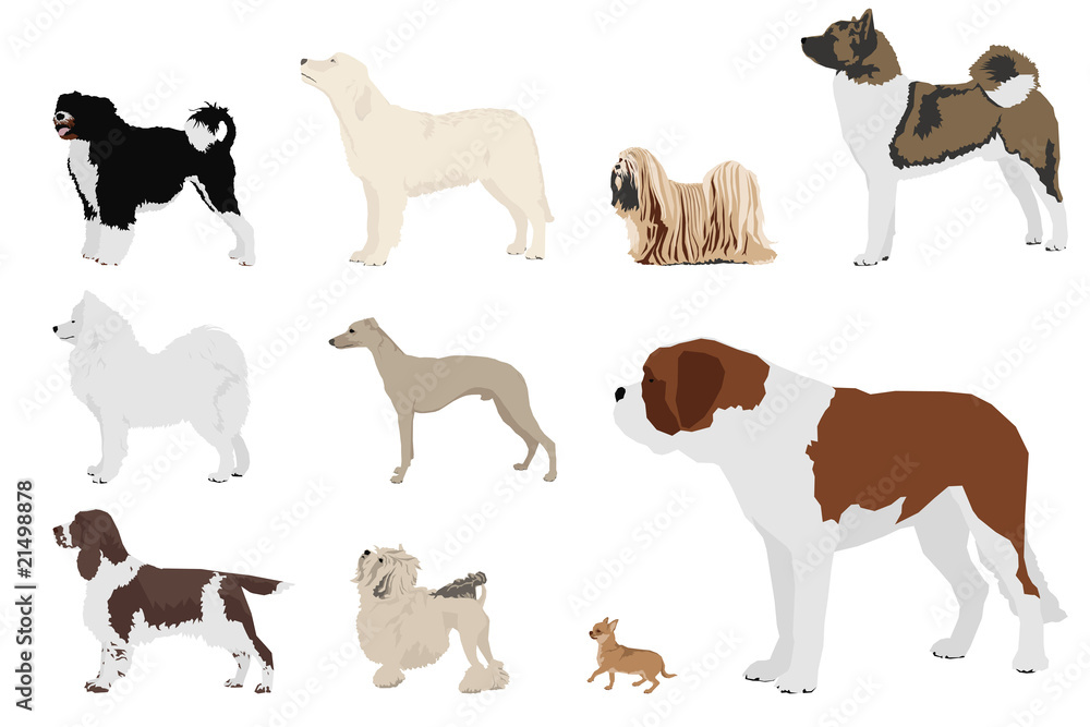 set of ten dog breeds set of ten dog breeds
