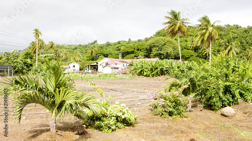 Wallpaper Mural River Antoine Rum Distillery; Grenada Torontodigital.ca