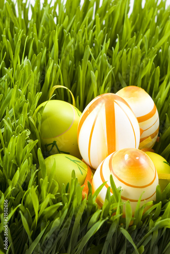 Easter eggs on green grass