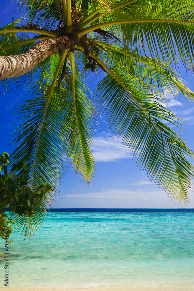 Naklejka premium Tropical Paradise at Maldives