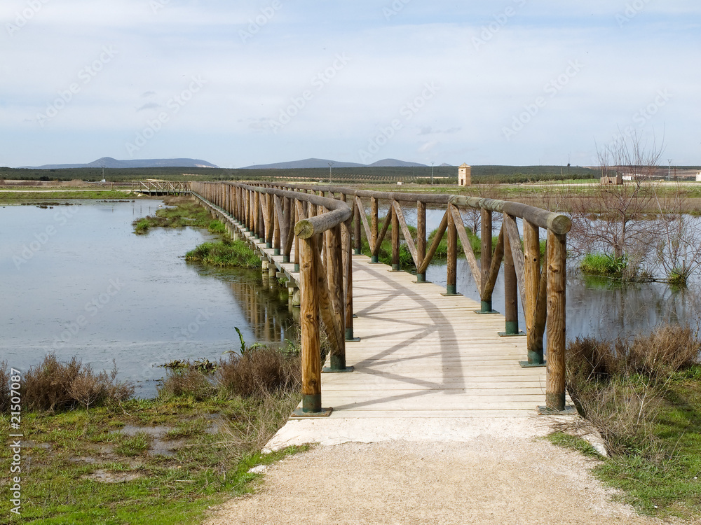 Wooden bridge crossing the lagoon of Fuente Piedra