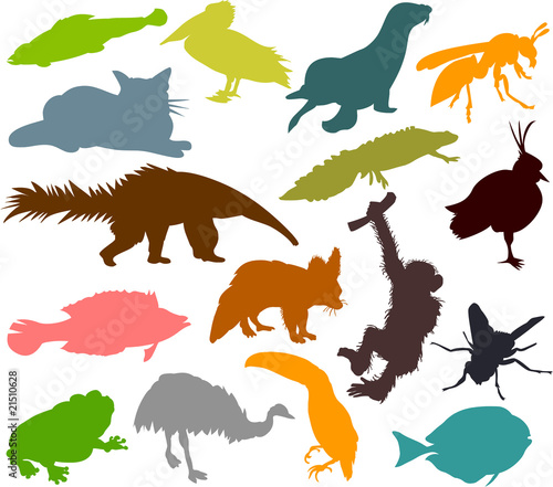 Set of animals icons G  - silhouettes