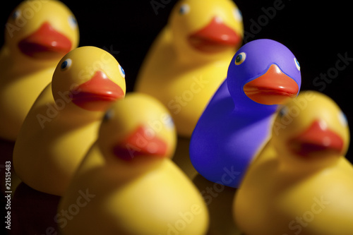 Obraz na plátně Toy Ducks