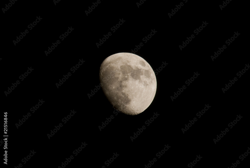 moon moon