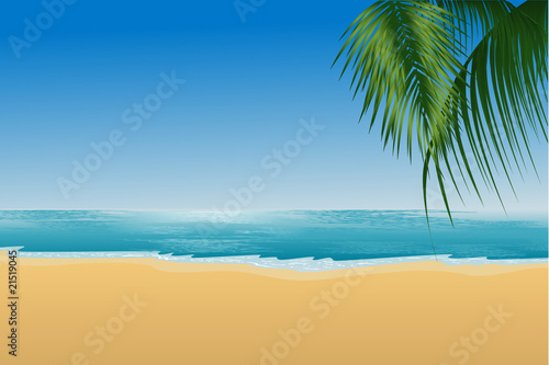 Fototapeta Naklejka Na Ścianę i Meble -  beach palmtree scenery