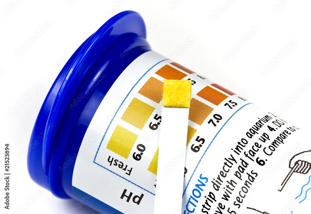 pH strip over comparison chart for pH control on a fish tank foto de