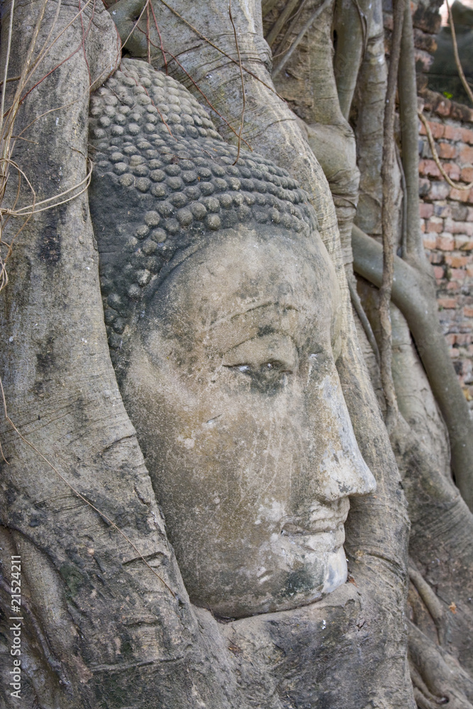 Buddha's head inside a tree, Ayuthaya , Thailand