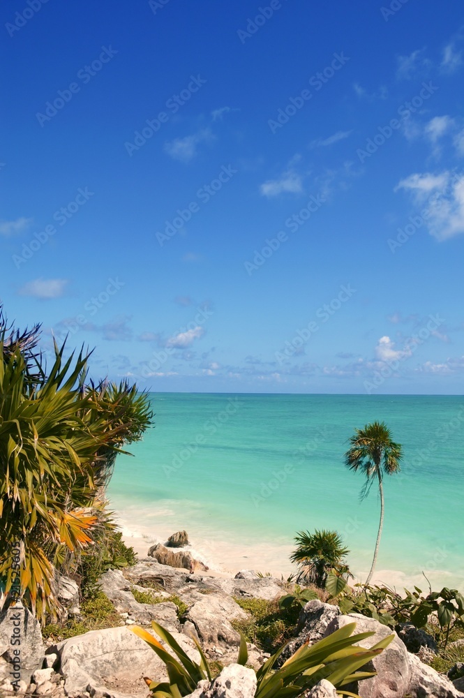 tulum mayan riviera tropical beach palm trees