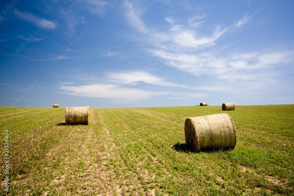 Straw bales