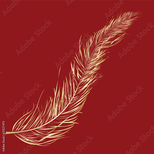 Gold feather