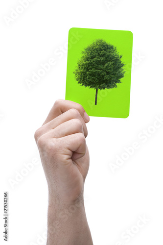 Grüne Karte