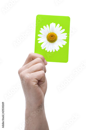 Grüne Karte