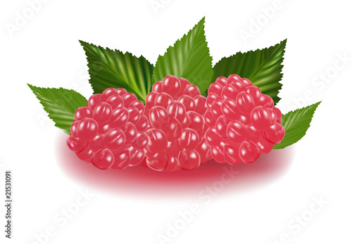 Photo-realistic vector illustration of the raspberries.