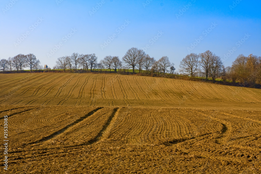 Agriculture Landspace
