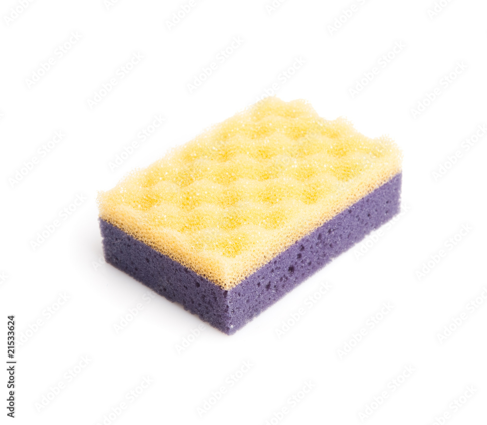 Sponge Sponge