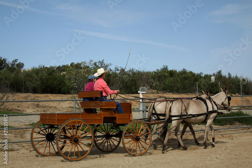 The Carriage Ride - Working with the Mules
