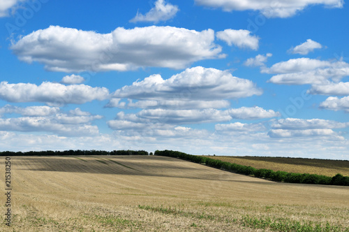 spring field