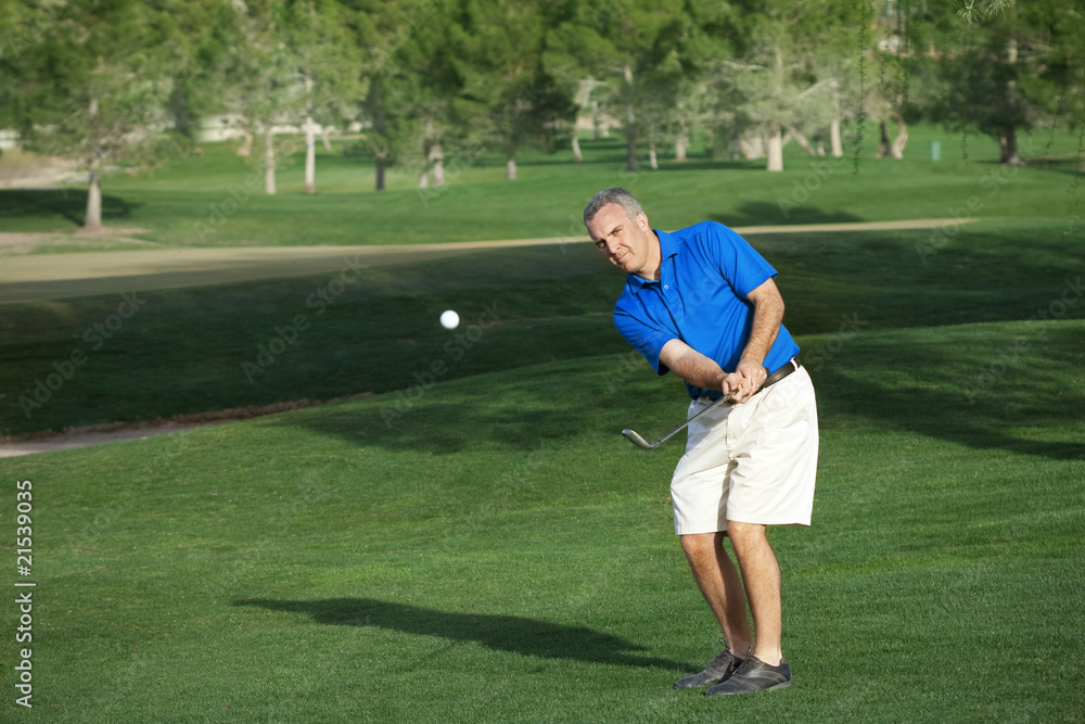 Obraz premium Male Golfer Playing Golf
