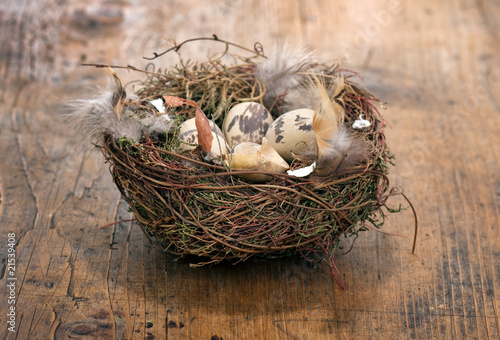 Easter eggs in a nest