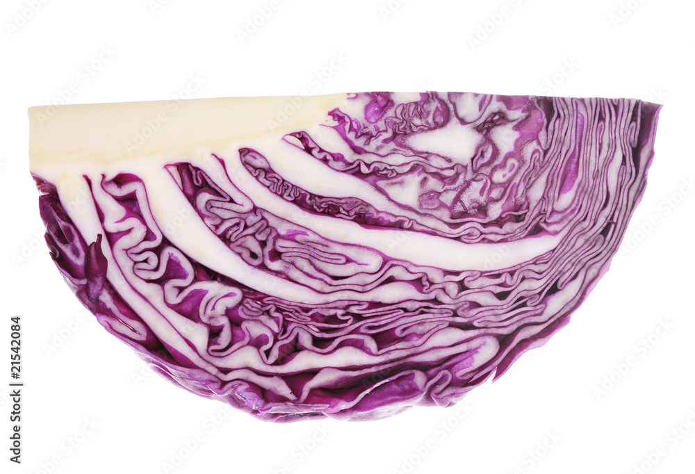 red cabbage red cabbage