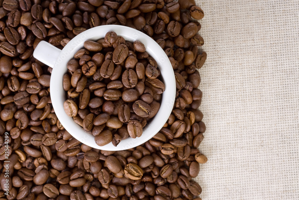 coffee beans in cup coffee beans in cup