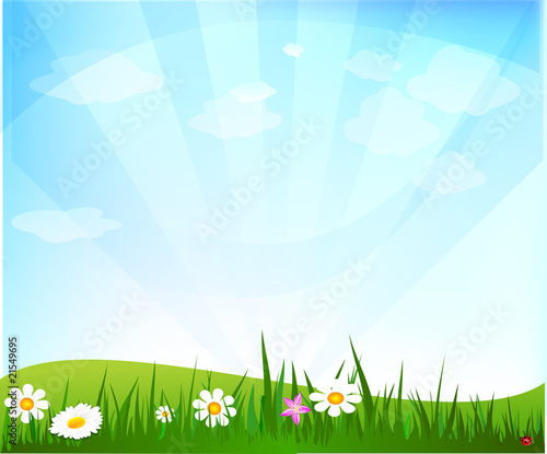 paysage printanier