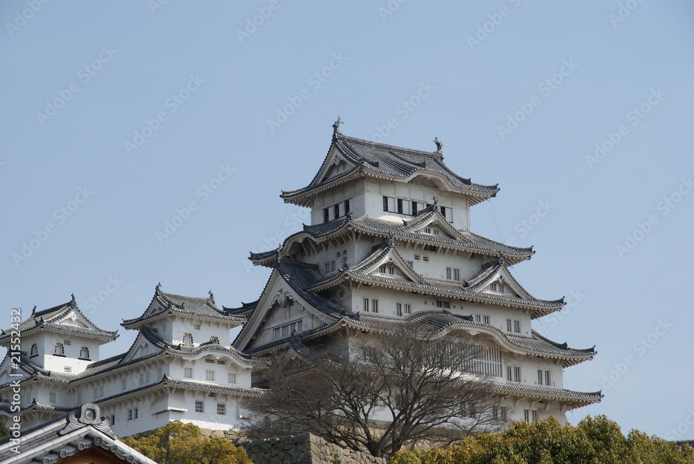 Fototapeta premium Himeji Castle