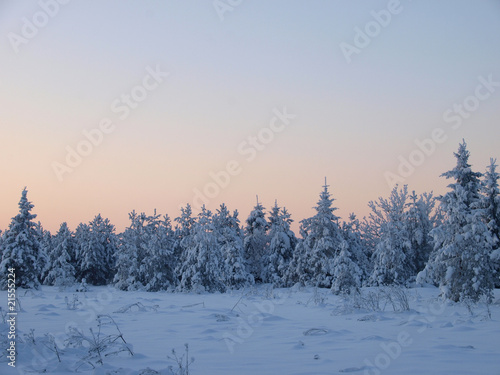 Winter landscape by forest