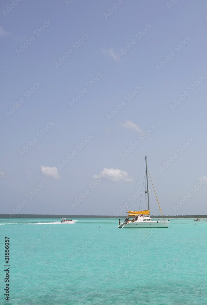 Fototapeta premium catamarana and people swiming