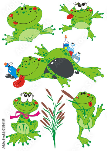 Funny Frogs