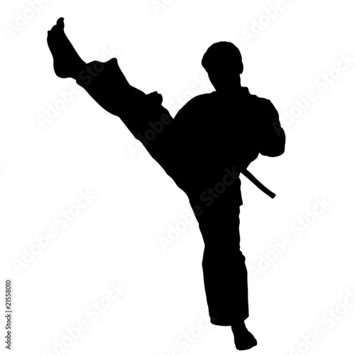 MARTIAL ARTS high kick.Vector.