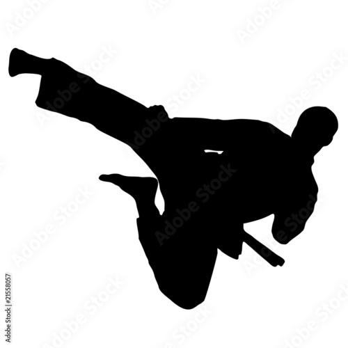 MARTIAL ARTS high jump.Vector.