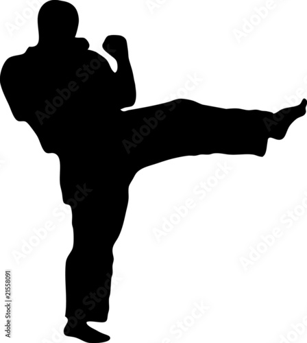 MARTIAL ARTS  kick.Vector.