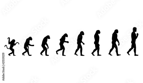 Evolution of the person