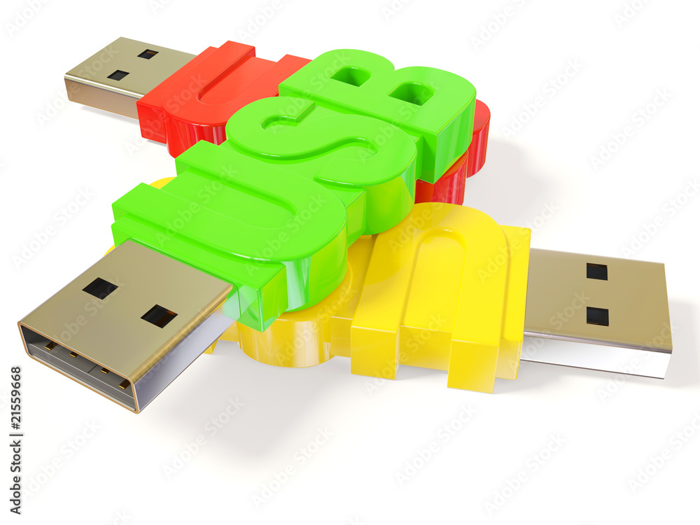 Fototapeta premium USB