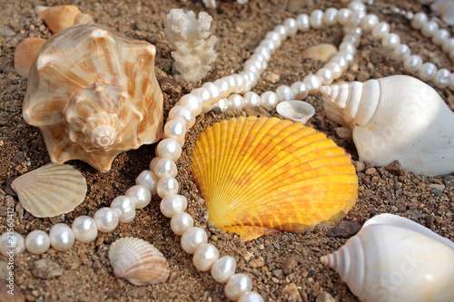 Magnificent background with sea cockleshells and pearls