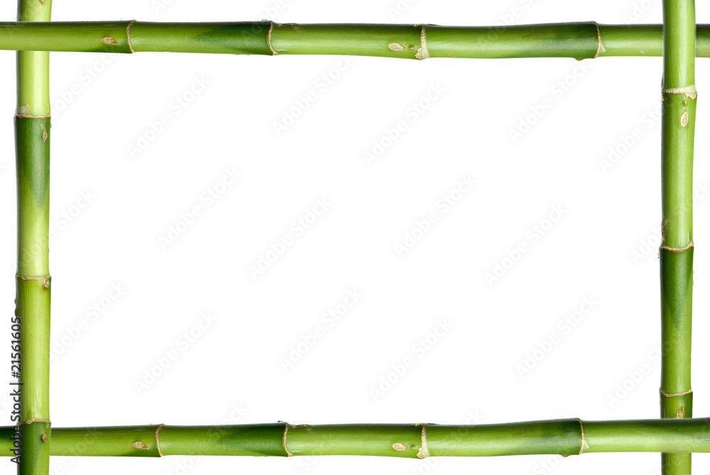 Fototapeta Green bamboo stick frame