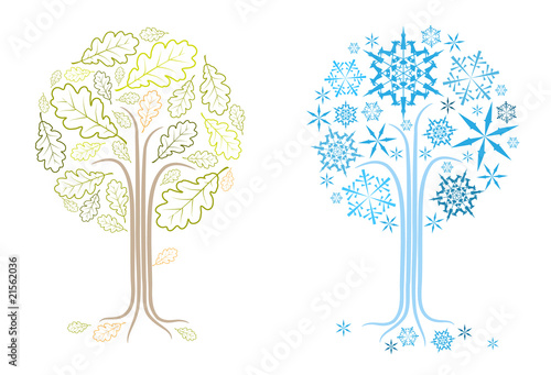 vector oak tree in different seasons