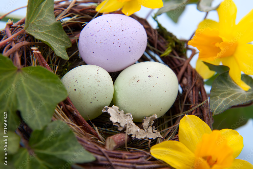 Easter eggs and daffodils Easter eggs and daffodils