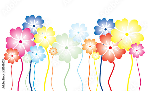 Fiori colorati