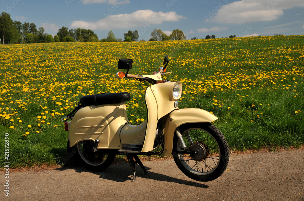 Fototapeta premium Fahrspaß