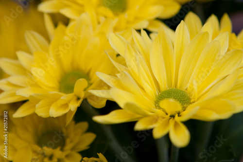 Bouquet of yellow flowers © Birute Vijeikiene
