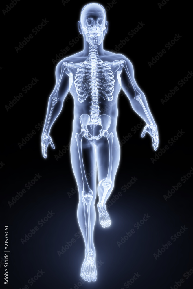 human xray