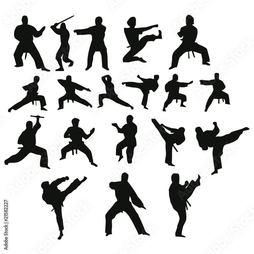 Silhouettes of positions of the karateka.Vector