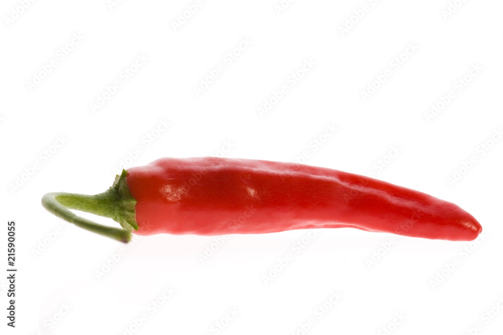 red hot chili peper