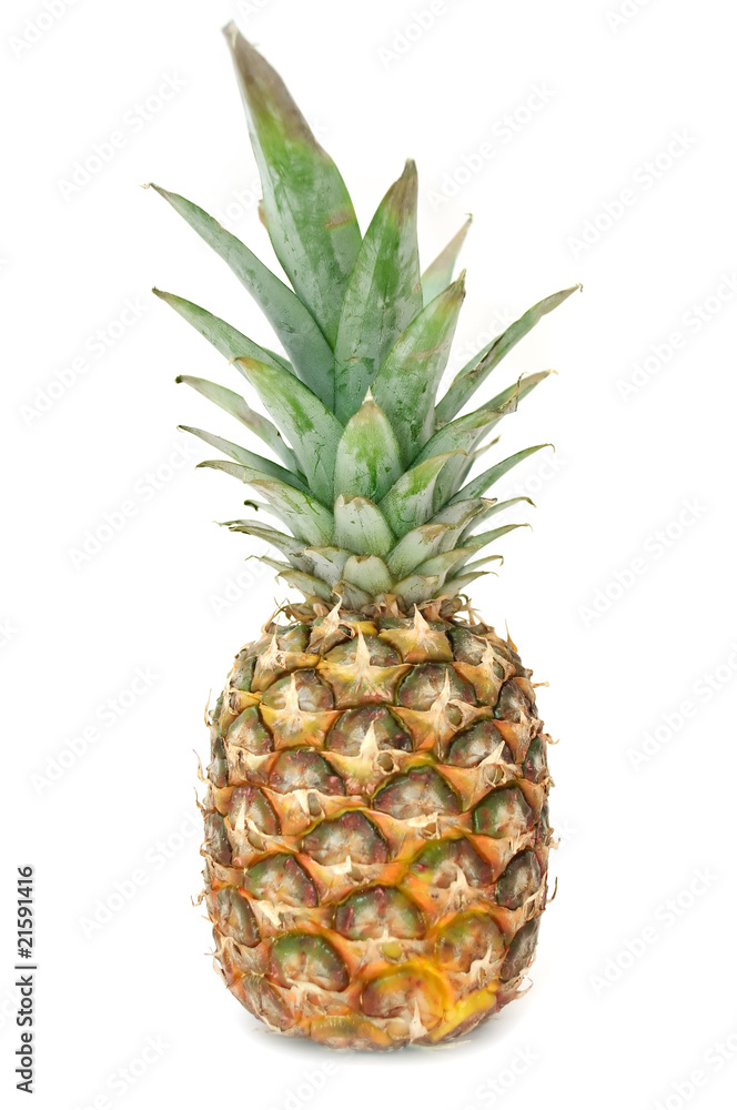 Pineapple Pineapple