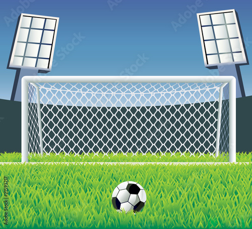 Soccer detailed goal and field. Vector illustration.