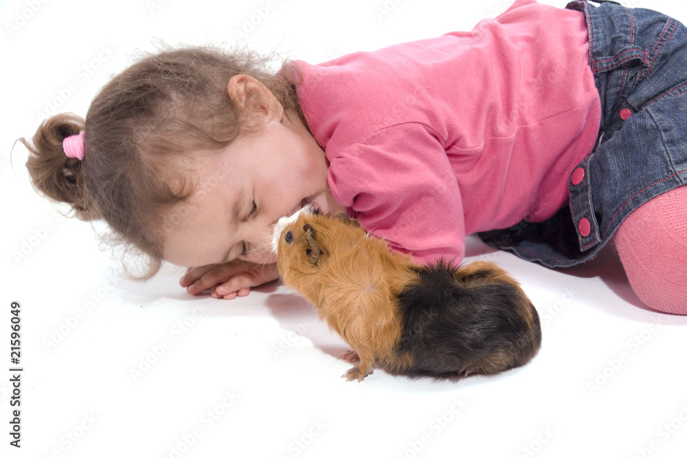 petite fille qui joue avec son animal de compagnie petite fille qui joue avec son animal de compagnie