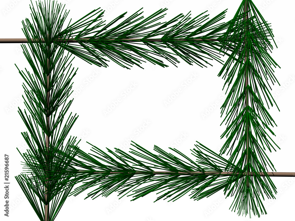 frame of pine branches frame of pine branches