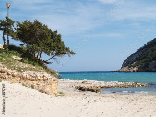 Cala Llonga beach Ibiza © tanitibiza